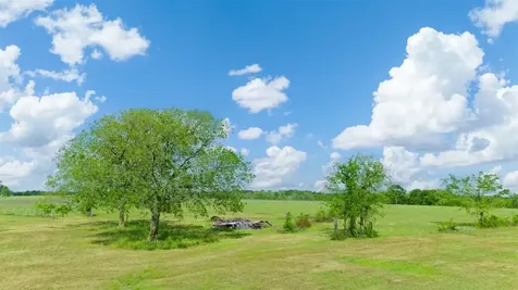 6015 Fm 1486 Richards TX 77873