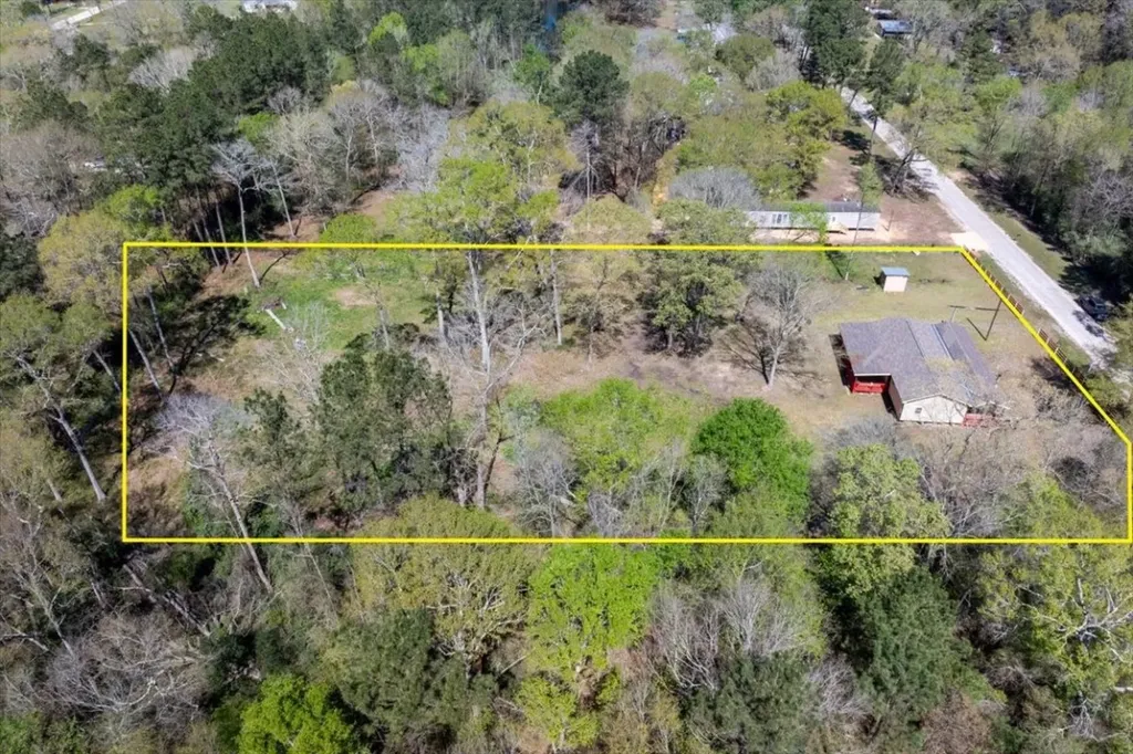 691 Willow Drive Shepherd TX 77371
