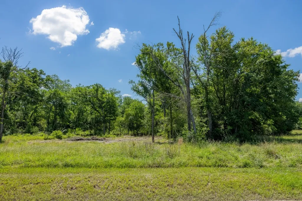 10649 Atakapan Trail Bedias TX 77831