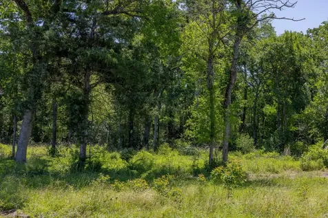 10649 Atakapan Trail Bedias TX 77831