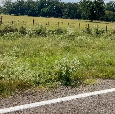 0046 Fm 2548 E Midway TX 75852