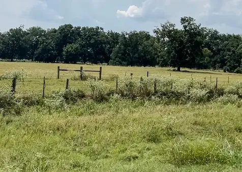0046 Fm 2548 E Midway TX 75852