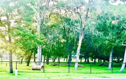 32203 Bayou Bend Richwood TX 77515