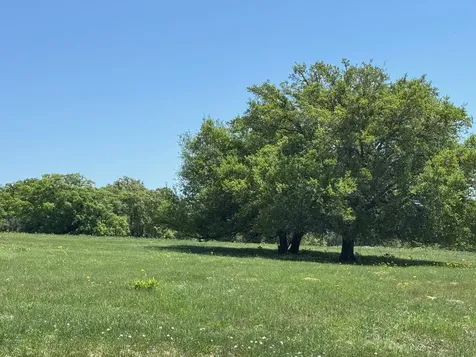 3817 Fm 154 Muldoon TX 78949