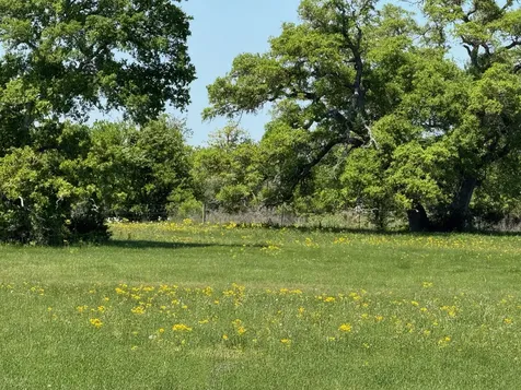 3817 Fm 154 Muldoon TX 78949