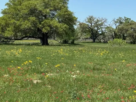 3817 Fm 154 Muldoon TX 78949