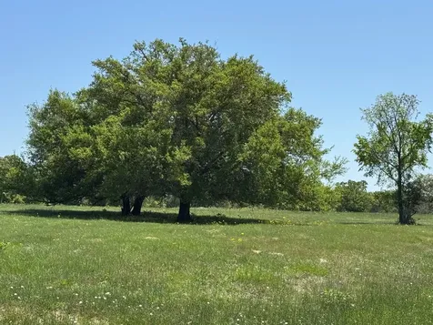 3817 Fm 154 Muldoon TX 78949