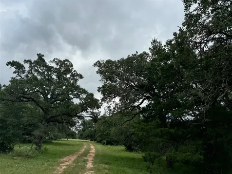 3817 Fm 154 Muldoon TX 78949