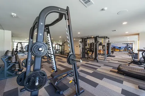 1724 Partnership Way 1439 Katy TX 77449