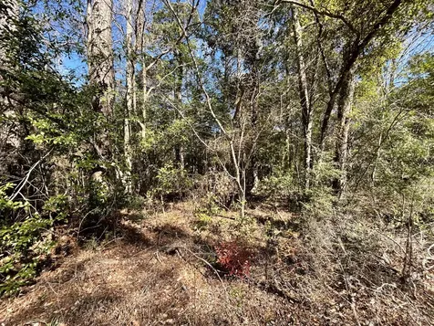 Lot 26 Buckingham Drive Ivanhoe TX 75979