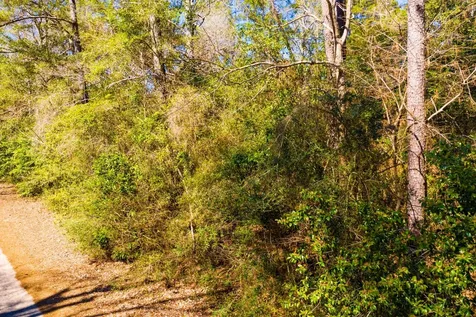 Lot 26 Buckingham Drive Ivanhoe TX 75979