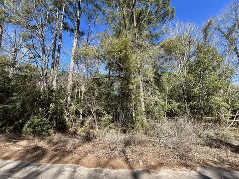 Lot 26 Buckingham Drive Ivanhoe TX 75979