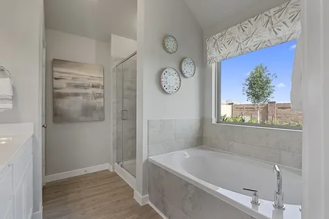 21110 Bella Coral Drive Cypress TX 77433