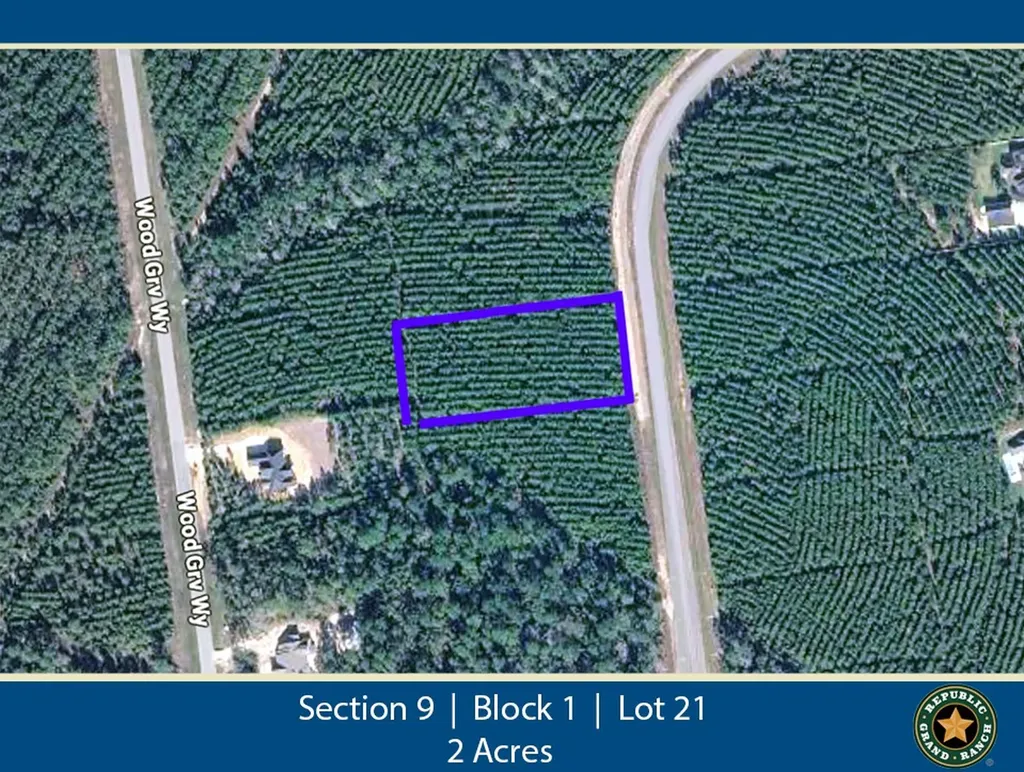 16245 Ridge Oak Road Willis TX 77378