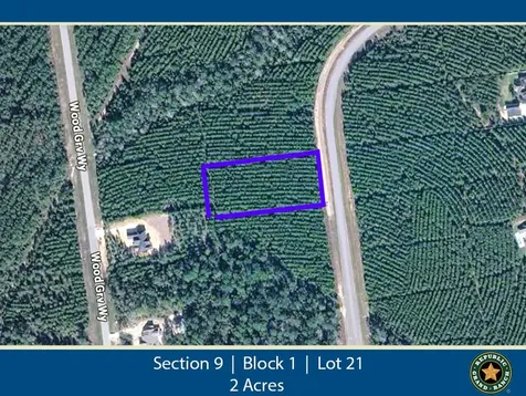 16245 Ridge Oak Road Willis TX 77378