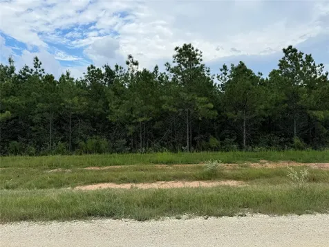 16245 Ridge Oak Road Willis TX 77378