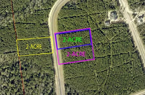 16245 Ridge Oak Road Willis TX 77378