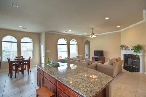 10 Tillamook Court The Woodlands TX 77389