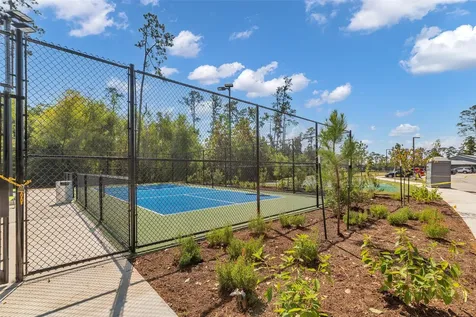 111 Coral Bells Court Conroe TX 77304