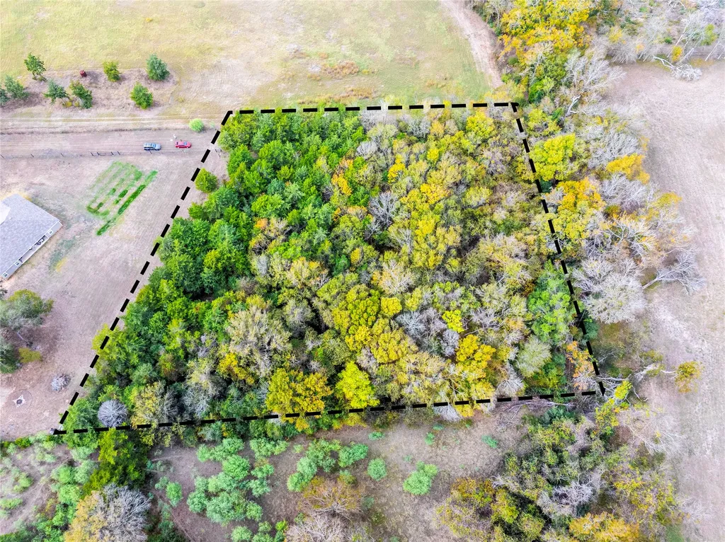 Tbd Armstrong School Road Chappell Hill TX 77426