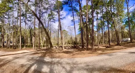 11253 Greenway Drive Plantersville TX 77363