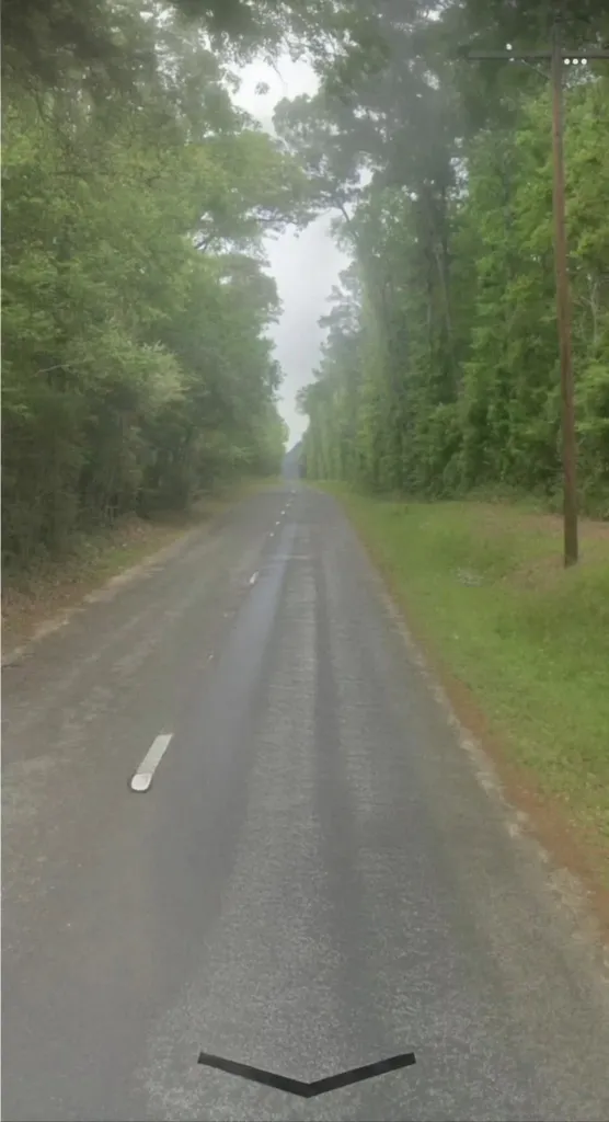 0000 County Road 2650 Livingston TX 77327