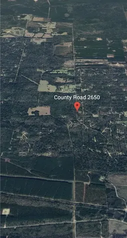0000 County Road 2650 Livingston TX 77327
