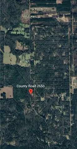 0000 County Road 2650 Livingston TX 77327