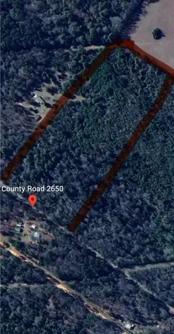 0000 County Road 2650 Livingston TX 77327