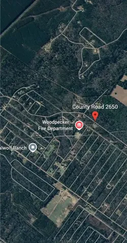 0000 County Road 2650 Livingston TX 77327