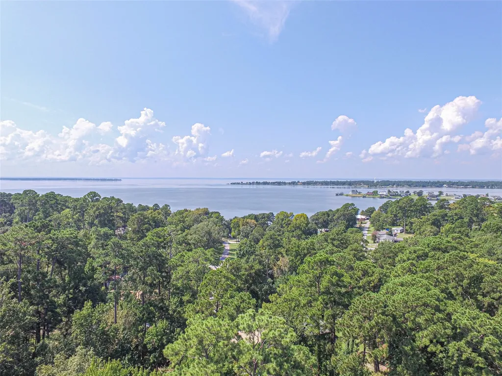 141 Wild Rose Livingston TX 77351