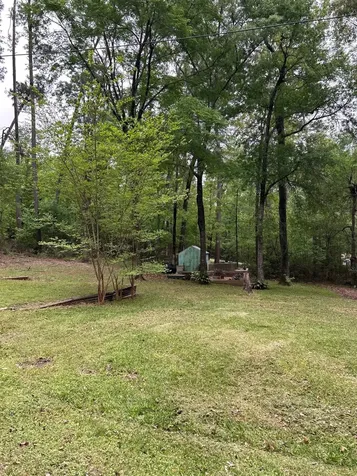 141 Wild Rose Livingston TX 77351