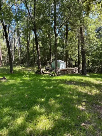 141 Wild Rose Livingston TX 77351