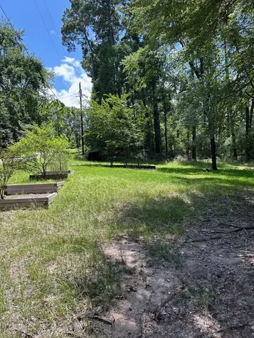 141 Wild Rose Livingston TX 77351