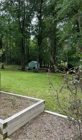 141 Wild Rose Livingston TX 77351