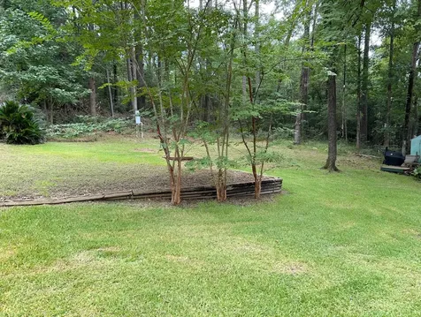 141 Wild Rose Livingston TX 77351