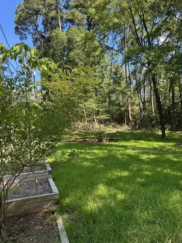 141 Wild Rose Livingston TX 77351