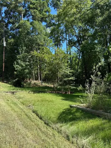 141 Wild Rose Livingston TX 77351