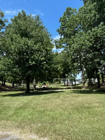 141 Wild Rose Livingston TX 77351