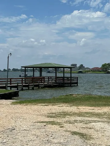 141 Wild Rose Livingston TX 77351
