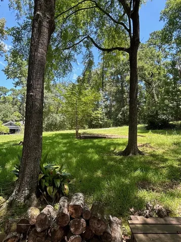 141 Wild Rose Livingston TX 77351