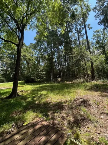141 Wild Rose Livingston TX 77351