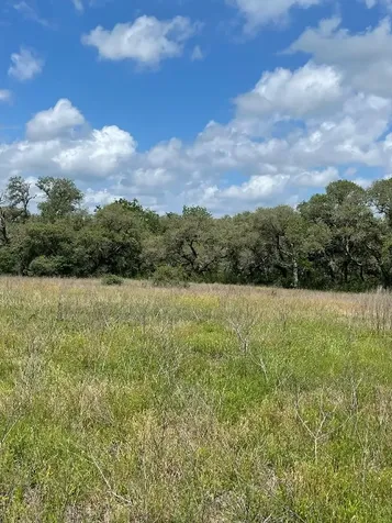 0 Pintail Lane Columbus TX 78934