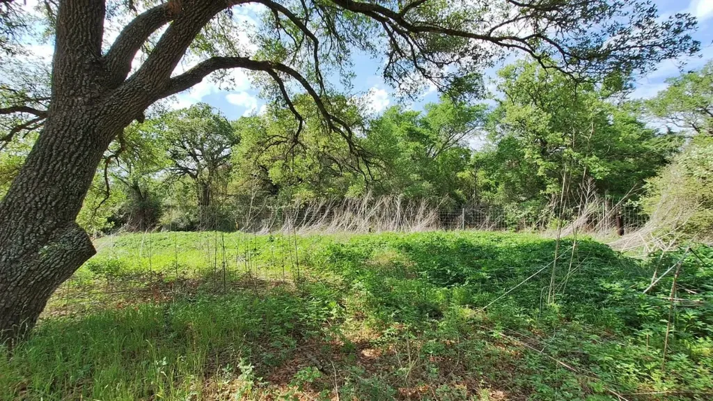 109 Folz Street Snook TX 77878