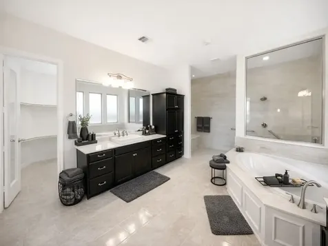 10407 Roseate Skimmer Conroe TX 77385