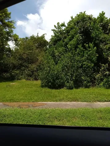 0 Gunter Street Houston TX 77020