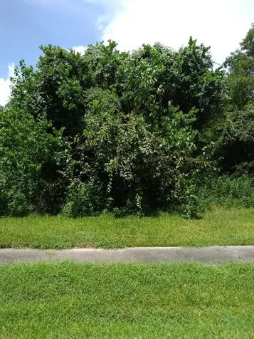 0 Gunter Street Houston TX 77020