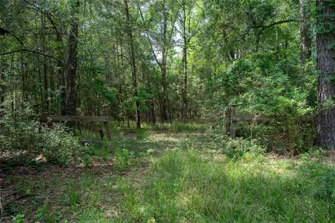 6866 Pennsylvania Avenue Montgomery TX 77316