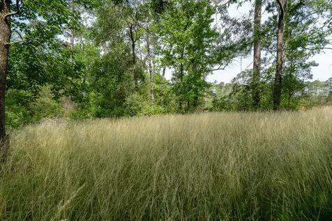 6866 Pennsylvania Avenue Montgomery TX 77316