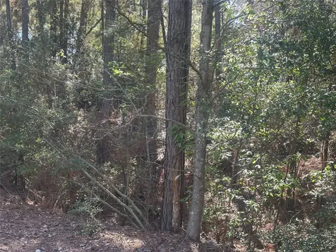 Lot 67/68 Wildwood Harbor Onalaska TX 77360
